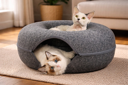 Are Felt Cat Beds Safe? What to Look For Before You Buy
