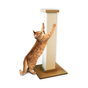 Cat Scratchers - RegalFeline