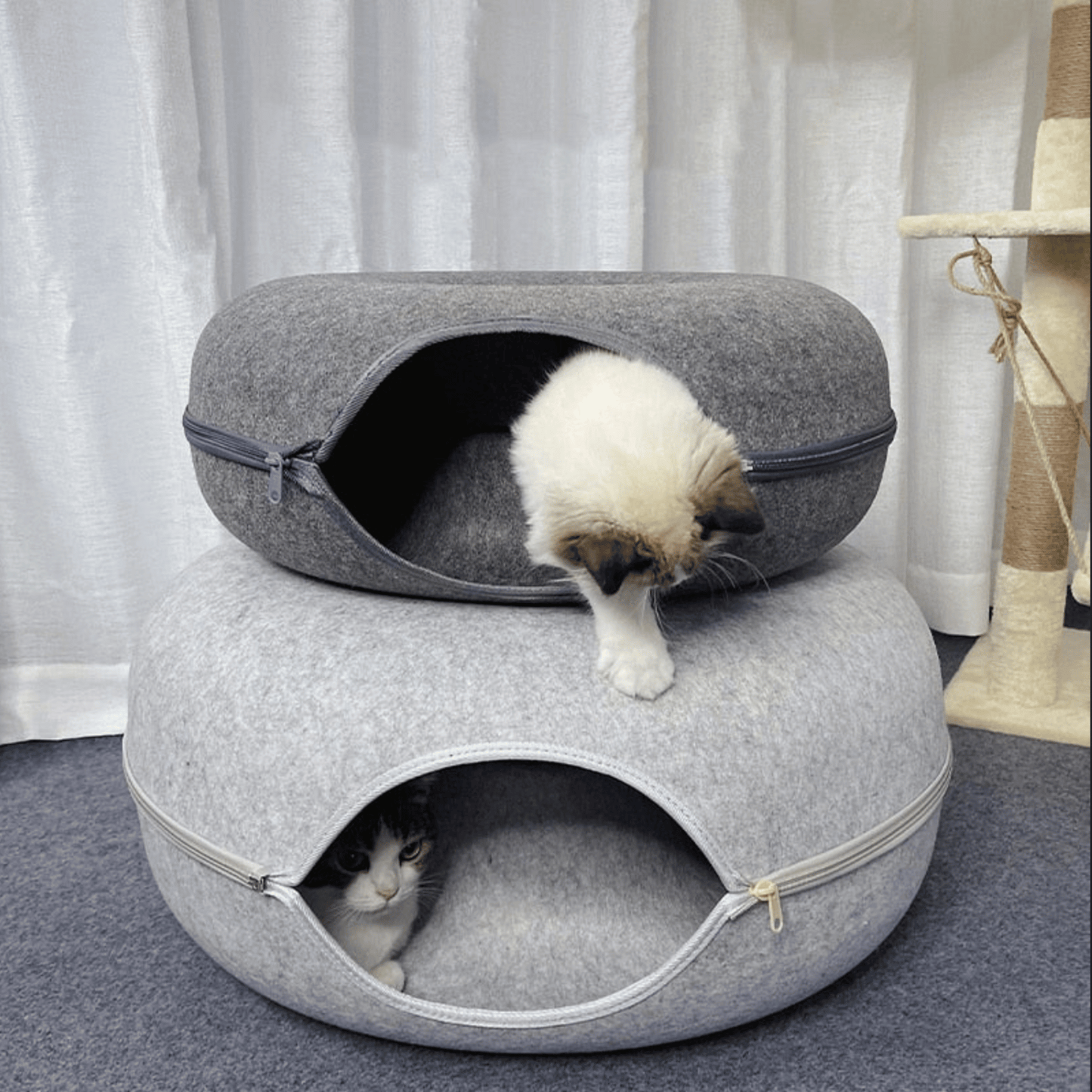 Cozy Cat Tunnel Bed
