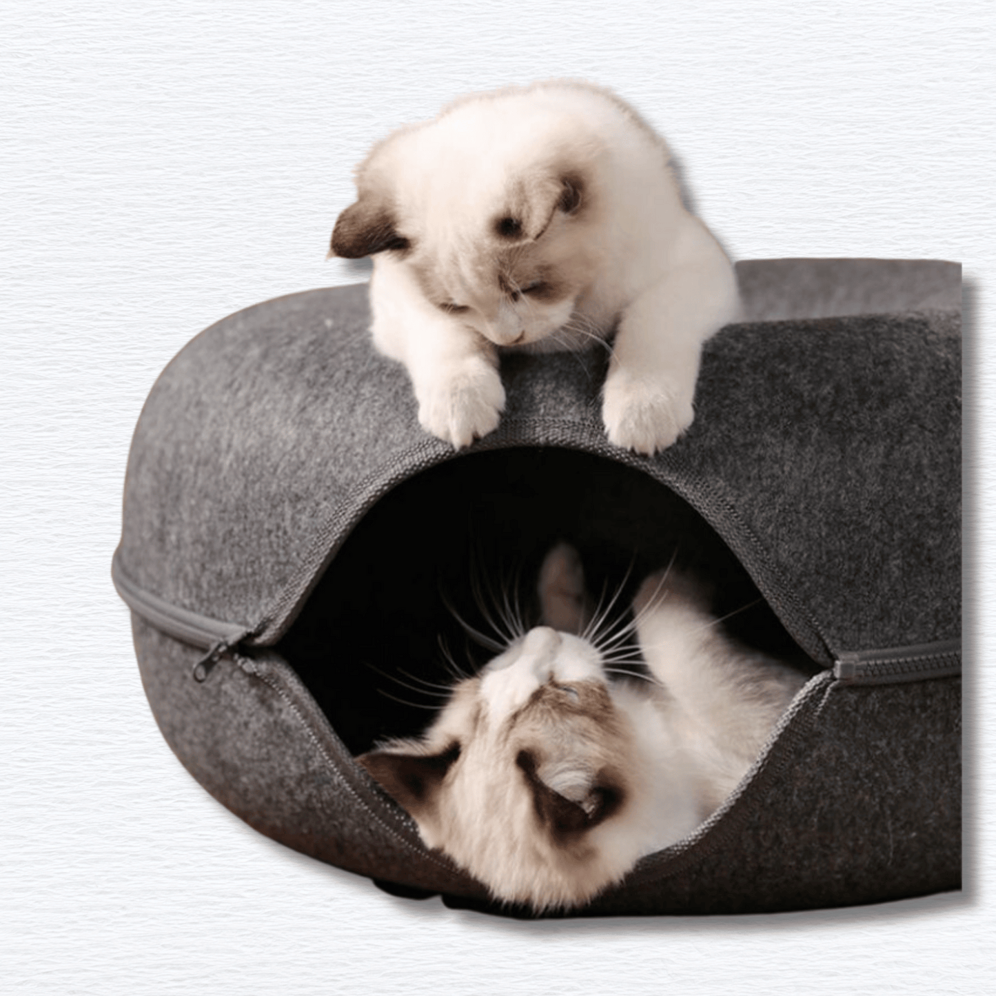 Cozy Cat Tunnel Bed